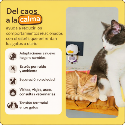Kit Difusor Calmante para Gatos