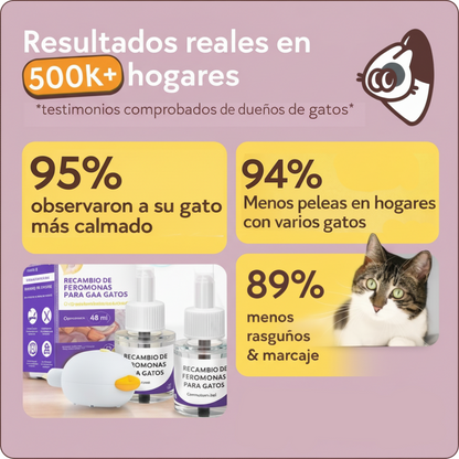 Kit Difusor Calmante para Gatos